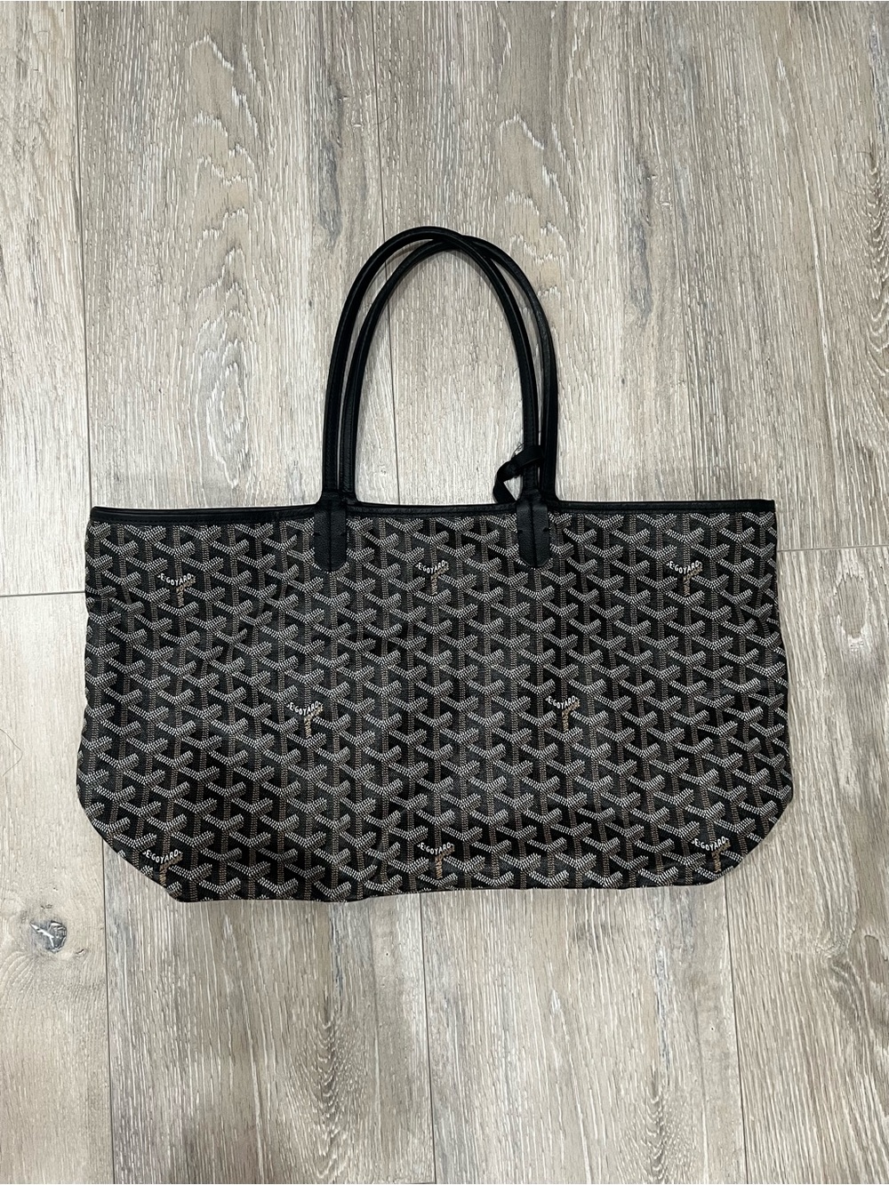 Goyard St Louis PM Tote in Black